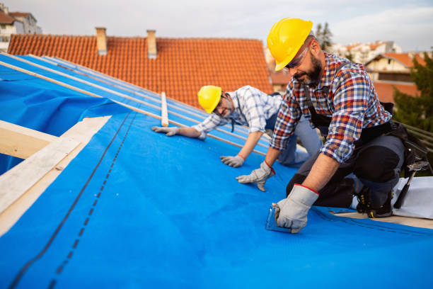 Best Roof Gutter Cleaning  in Flomaton, AL