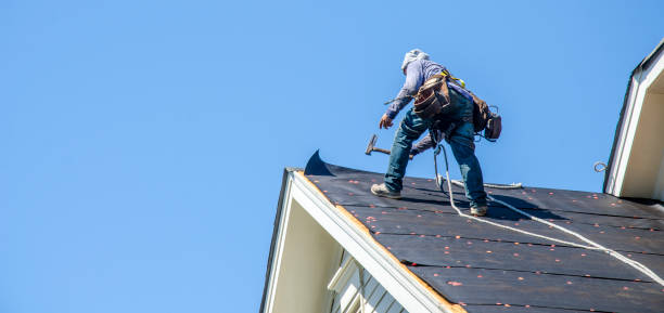 Best Shingle Roofing Installation  in Flomaton, AL